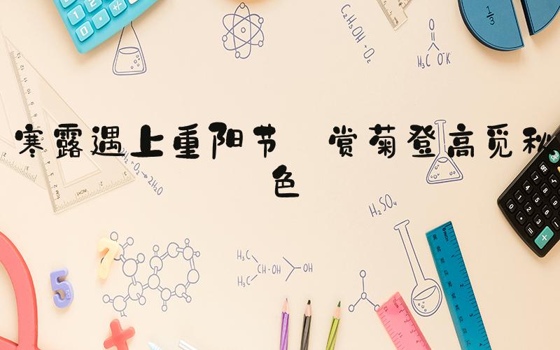 寒露遇上重阳节 赏菊登高觅秋色